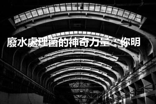 廢水處理菌的神奇力量：你明白它們有多厲害嗎？